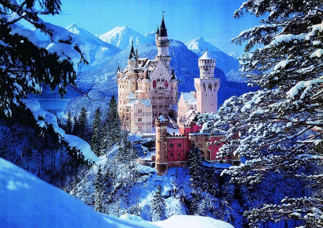 Haflingerhof Hotell Roßhaupten Exteriör bild